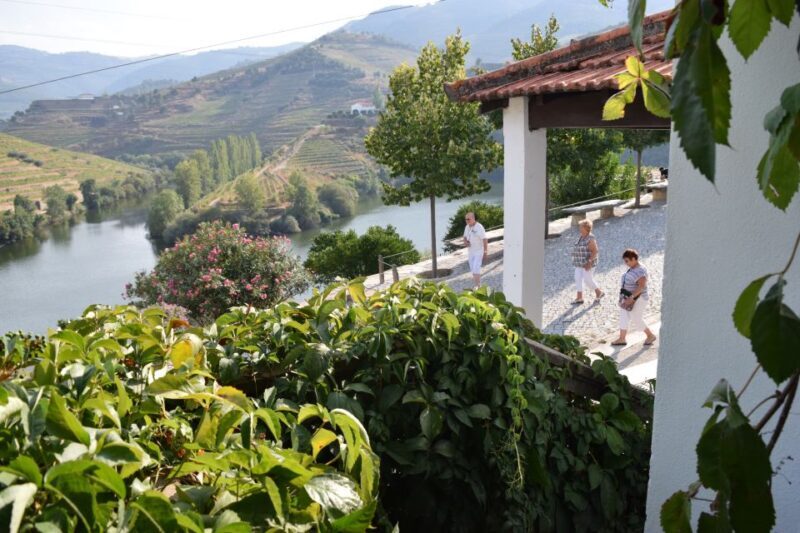 Douro Valley: Quinta do Tedo Winery Tour and Tasting - Key Points