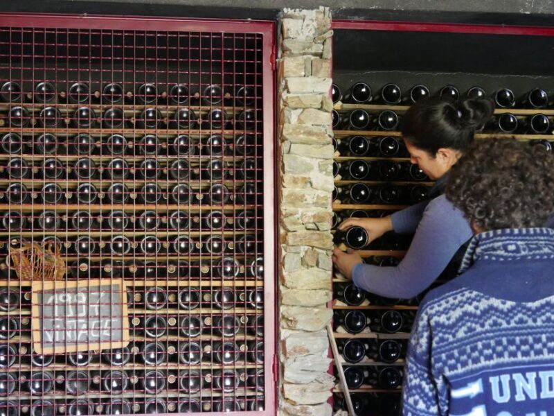 Douro Valley: Quinta do Tedo Winery Tour and Tasting - The Sum Up