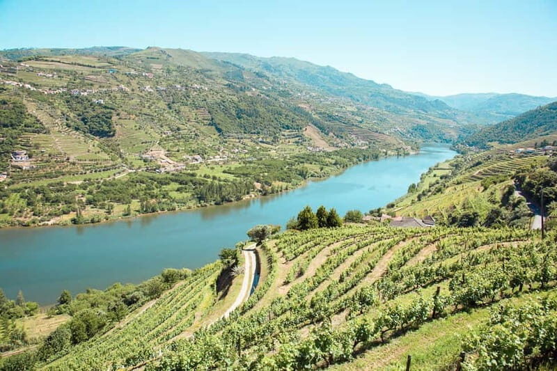 Douro Valley: Real Small-Group, Wine Tasting, Lunch & Boat - Who Is This Tour Best Suited For?