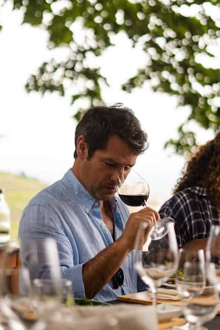 Douro Valley: Sensory Experience in the Douro: Wines, Olive Oil, and History - Final Thoughts