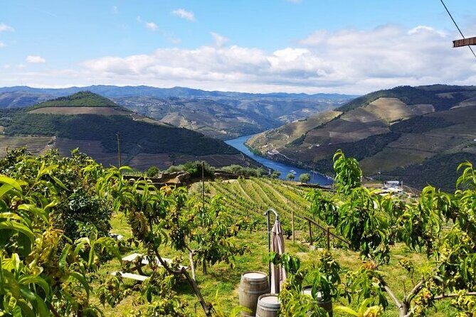 Douro Valley Small-Group Tour: 2 Wineries, Lunch, Optional Cruise - Practical Tips for Booking
