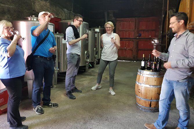 Douro Valley Tour: 2 Vineyard Visits, River Cruise, Winery Lunch - What Makes This Tour Stand Out?