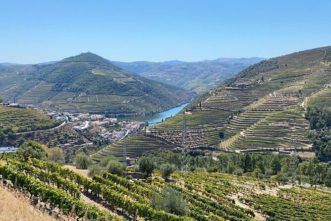 Douro Valley Tour - 3 Wine tastings, Lunch & river Cruise - Final Thoughts: Who Is This Tour Best For?