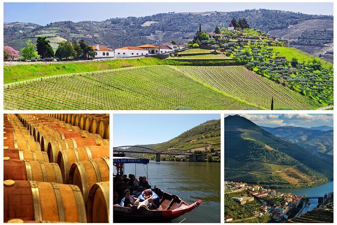 Douro Valley tour from Porto - What to Expect from the Douro Valley Tour