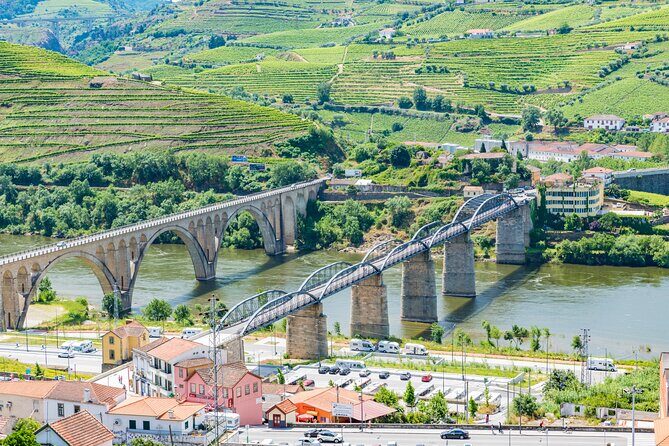 Douro Valley tour from Porto - Who Should Book This Tour?