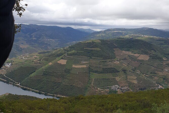 Douro Valley Tour Wine and breathtaking views - Who Is This Tour Best For?