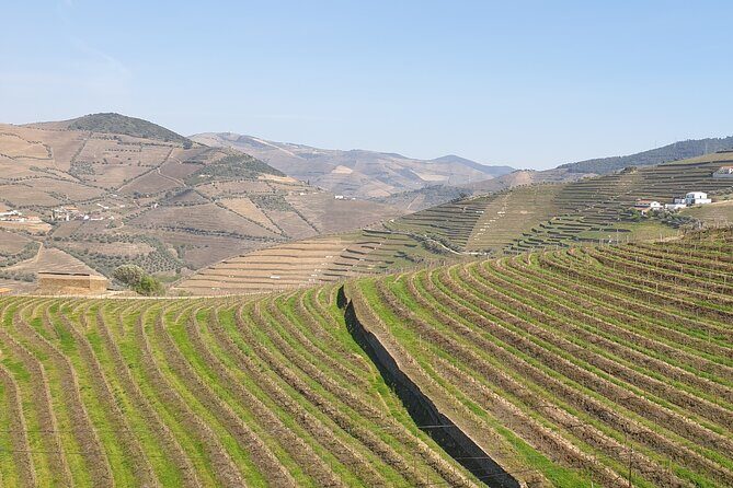 Douro Valley Tour Wine and breathtaking views - Frequently Asked Questions