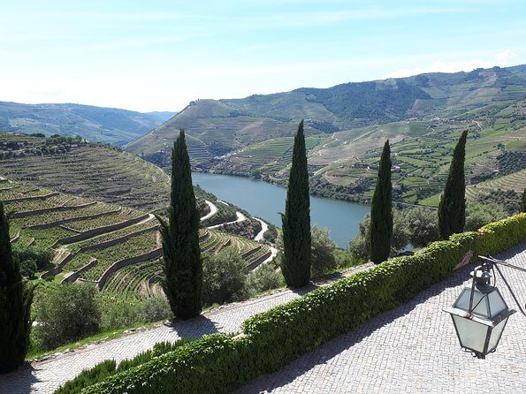 Douro Valley Tour (wine & Food) - Final Thoughts: Is This Tour Right for You?