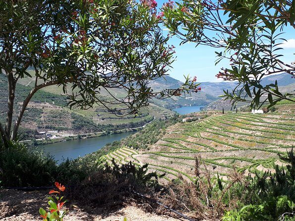 Douro Valley Tour (wine & Food) - FAQ