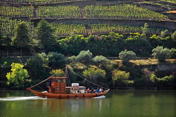 Douro Valley Tour: Wine Tasting, Cruise and Lunch from Porto - Peso da Régua and Port Wine Tasting
