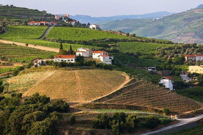 Douro Valley Tour: Wine Tasting, Cruise and Lunch from Porto - Scenic Lunch in a Portuguese Restaurant