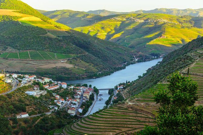 Douro Valley Tour: Wine Tasting, Cruise and Lunch from Porto - What We Love About This Tour