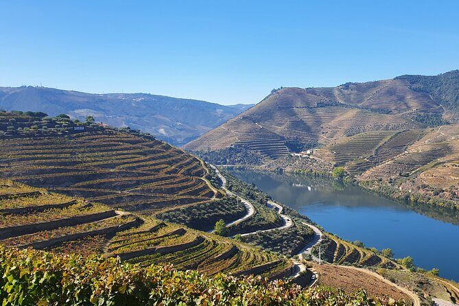 Douro Valley Tour: Wine Tasting River Cruise and Lunch from Porto - Final Thoughts