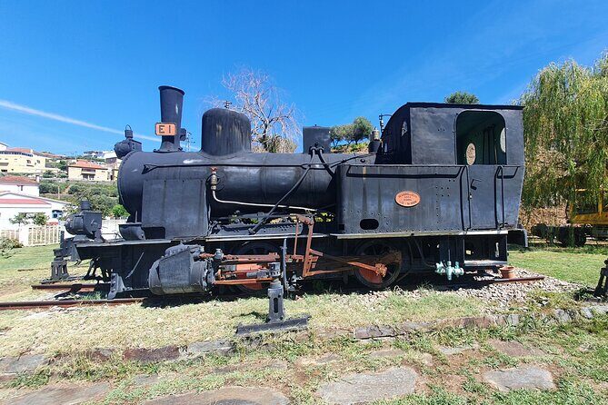 Douro Valley Tour with Train and Vinho Verde - A Deep Dive into the Douro Valley Tour Experience