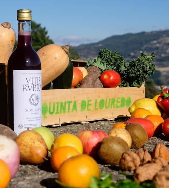 Douro Valley: Traditional Cooking Class, Farm Tour & Lunch - Key Points