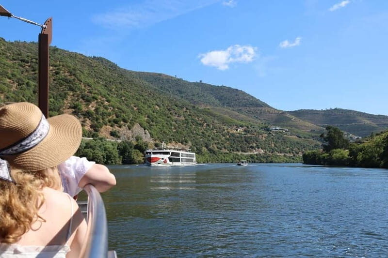 Douro Valley: Visit 2 Wineries with lunch, and 1-Hour Cruise - Douro Valley: Visit 2 Wineries with Lunch and a 1-Hour Cruise