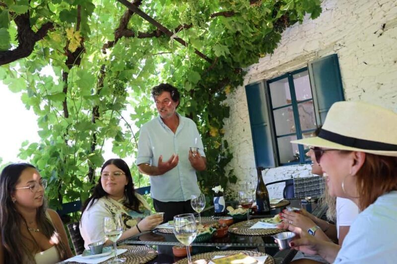Douro Valley: Visit 2 Wineries with lunch, and 1-Hour Cruise - What We Love About This Tour
