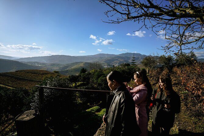 DOURO VALLEY: Visit Small local wineries, lunch & an 1h-boat Tour - Who Is This Tour Best For?