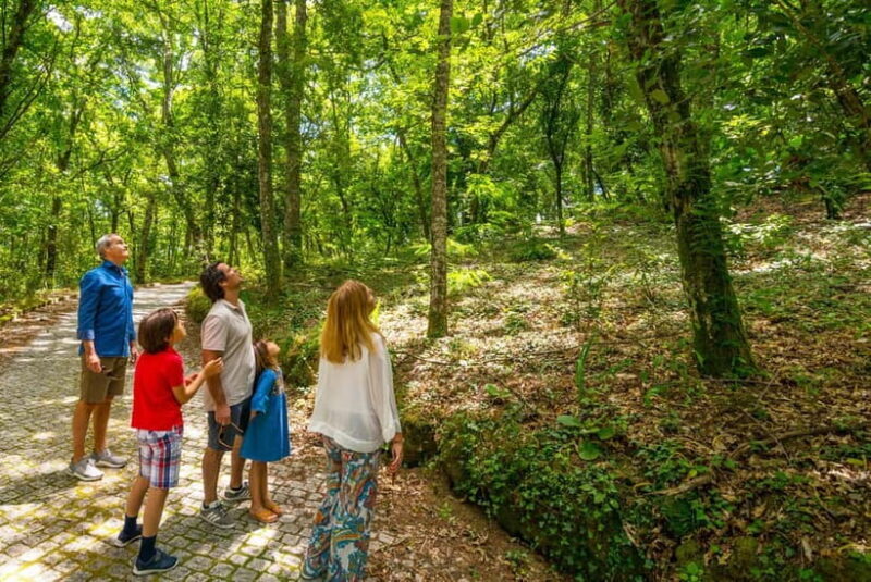 Douro Valley: Walk Through The Vineyards And Woods - Practical Details and Value