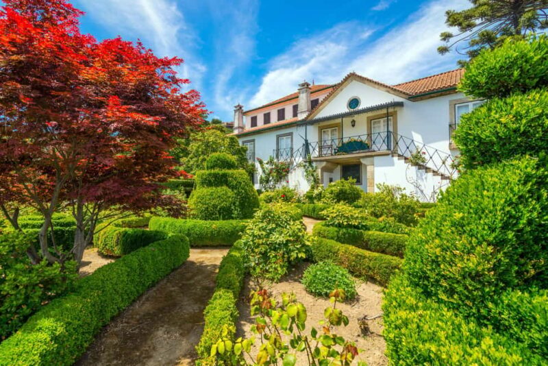 Douro Valley: Walk Through The Vineyards And Woods - Price and Duration