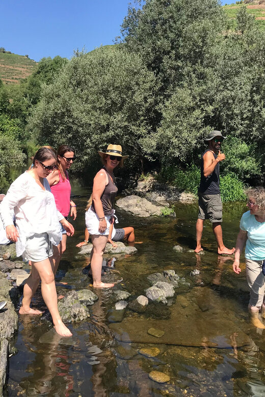 Douro Valley: water walking adventure with local lunch - What Makes This Tour Stand Out?