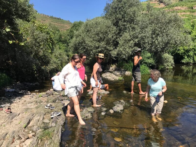 Douro Valley: water walking adventure with local lunch - Who Should Book This Tour?