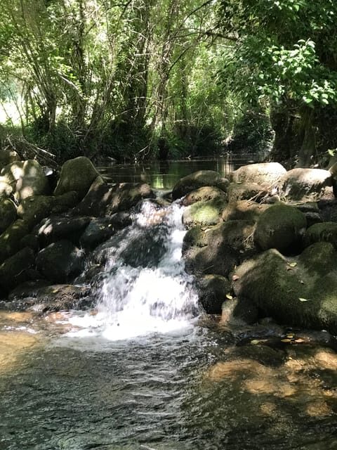 Douro Valley: water walking adventure with local lunch - FAQs