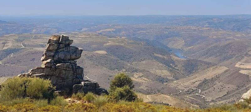 Douro Valley: Wine & Chocolate Tour in the Wine Region - Discovering the Douro: An In-Depth Look at the Tour