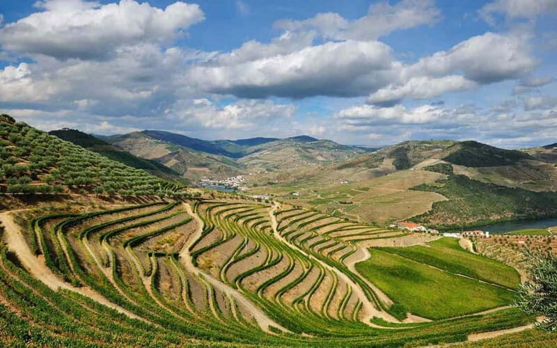 Douro Valley: Wine & Chocolate Tour in the Wine Region - Final Thoughts: Is This Tour Worth It?
