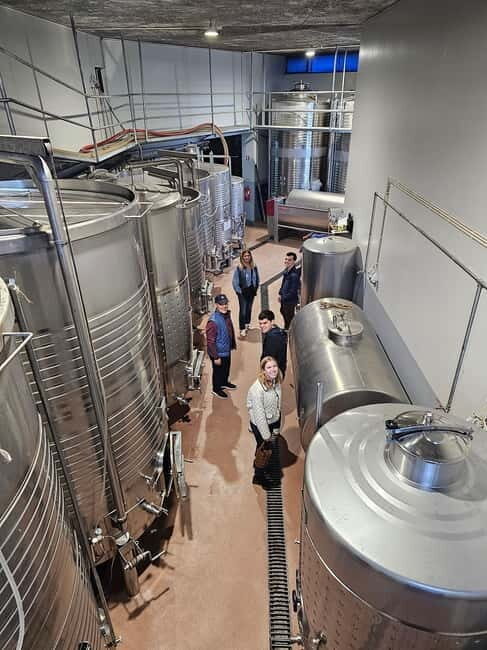 Douro Valley: Wine, History, and Ferdinand Magellan Tour - Key Points