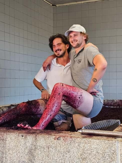 Douro Valley: Wine, History, and Ferdinand Magellan Tour - An In-Depth Look at the Douro Valley: Wine, Views, and History