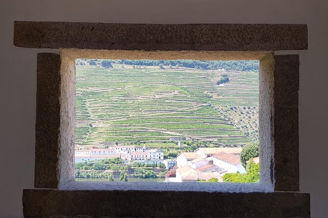 Douro Valley Wine Tour: 3 Vineyard Visits, Wine Tastings, Lunch - A Deep Dive into the Douro Valley Wine Tour