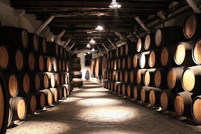 Douro Valley Wine Tour: Local Food & Wine Experience Small Group - Final Thoughts