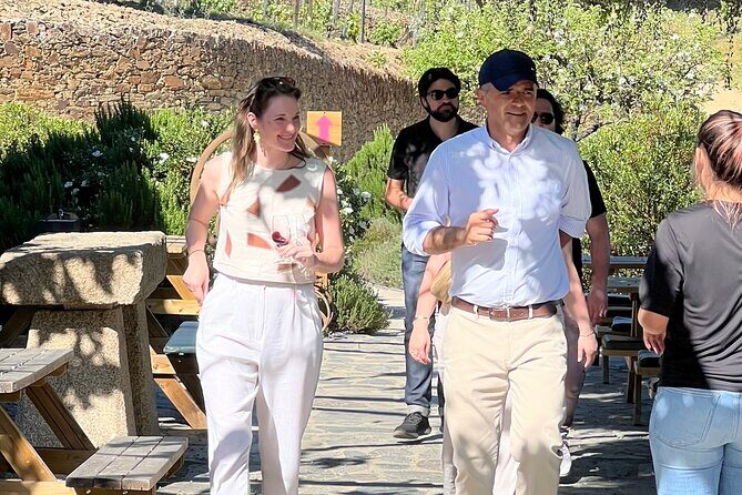 Douro Valley Wine Tour with Tastings, Boat Ride & Lunch - The Itinerary in Detail