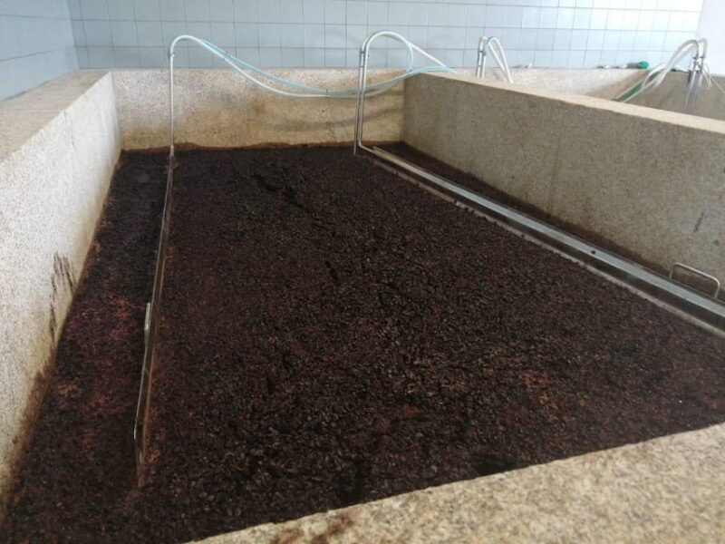 Douro Valley Wine Tour With Traditional Lunch - A First Look at the Douro Valley Wine Tour