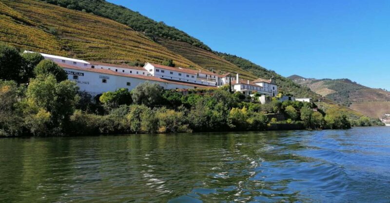 Douro Valley Winery Day Trip with River Cruise - Exploring the Douro Valley Winery Day Trip with River Cruise