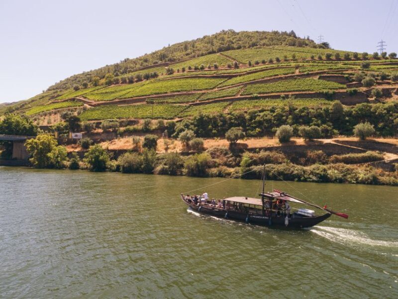 Douro Valley Winery Day Trip with River Cruise - Exploring the Douro Valley: Wineries and Pinhão