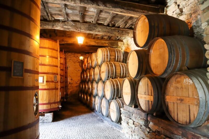 Douro Valley Winery Day Trip with River Cruise - The Highlight: River Cruise in a Rabelo Boat