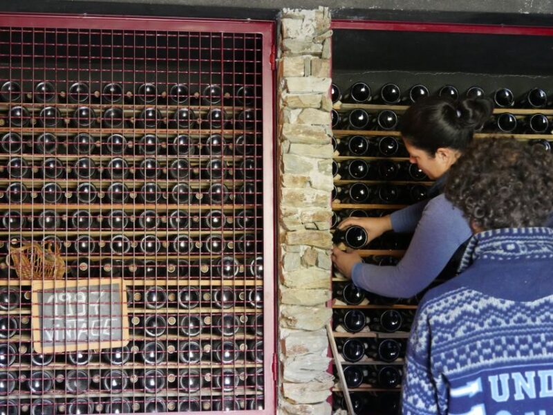 Douro Valley: Winery Tour at Quinta do Tedo and Tastings - Final Thoughts