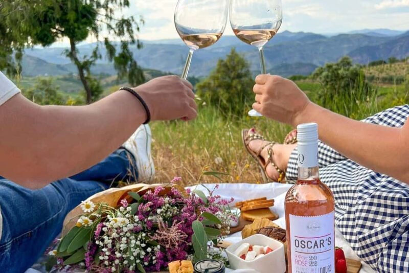 Douro Valley: Winery Tour with Port Wine Tasting and Picnic - Considerations for Travelers