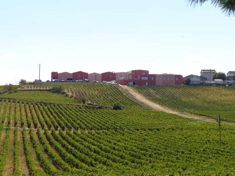 Douro Valley: Winery Visit & Legacy Port Wine Tasting - FAQ