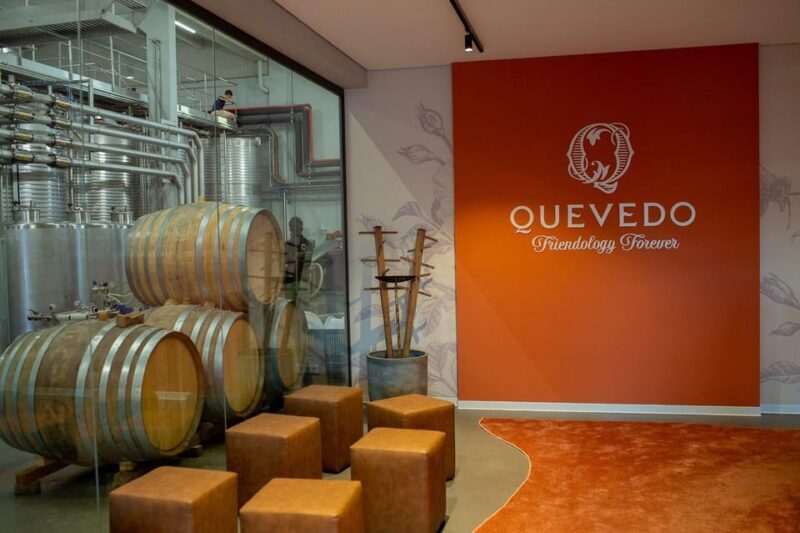 Douro Valley: Winery Visit & Premium Aged Port Wine Tasting - An In-Depth Look at the Douro Valley Winery & Tasting Tour