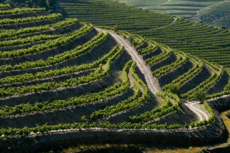 Douro: Wine Tasting and river cruise Experience - FAQs
