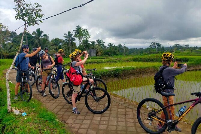 Down Hill Cycling in Bali Country Side with Local - Transportation, Group Size, and Timing