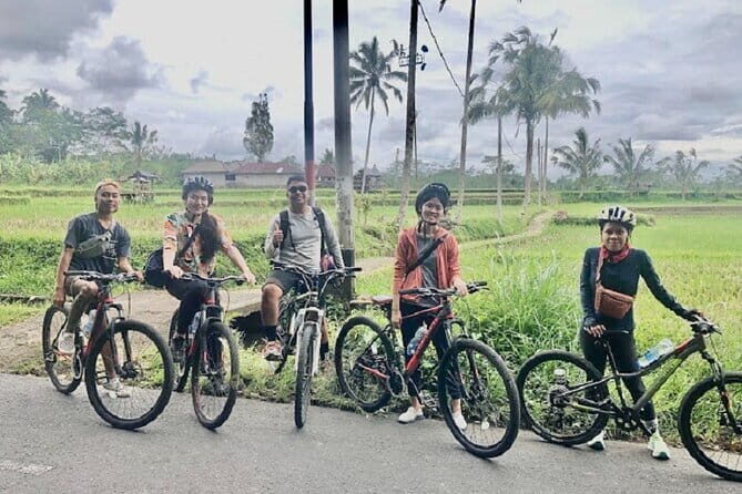 Downhill Cycling Tour through jungle and rice terrace meals - Introduction