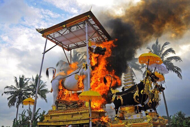 Downhill Cycling Ubud with Volcano,Rice Terraces,Jungle and Meals - Who Should Consider This Tour?