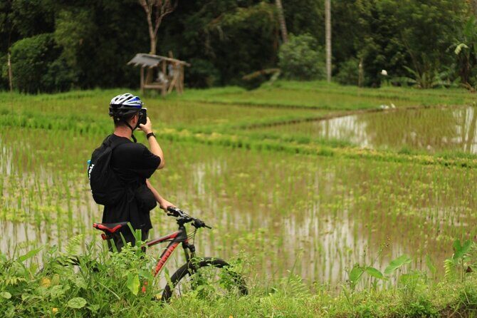 Downhill Cycling Ubud with Volcano,Rice Terraces,Jungle and Meals - FAQ