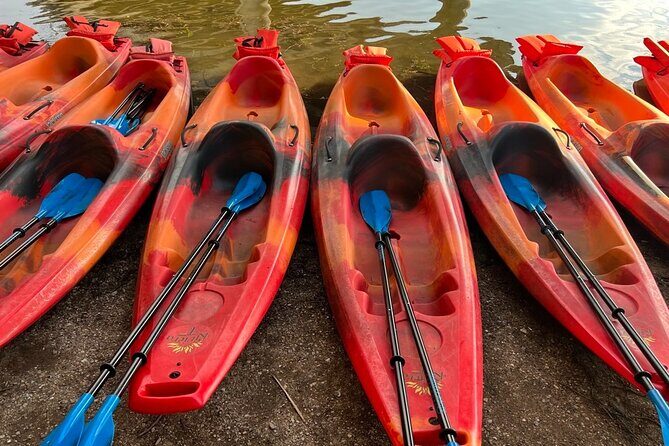 Downtown Austin Sunset Kayak Tour with 1.5 Million Bats - Group Size and Meeting Details