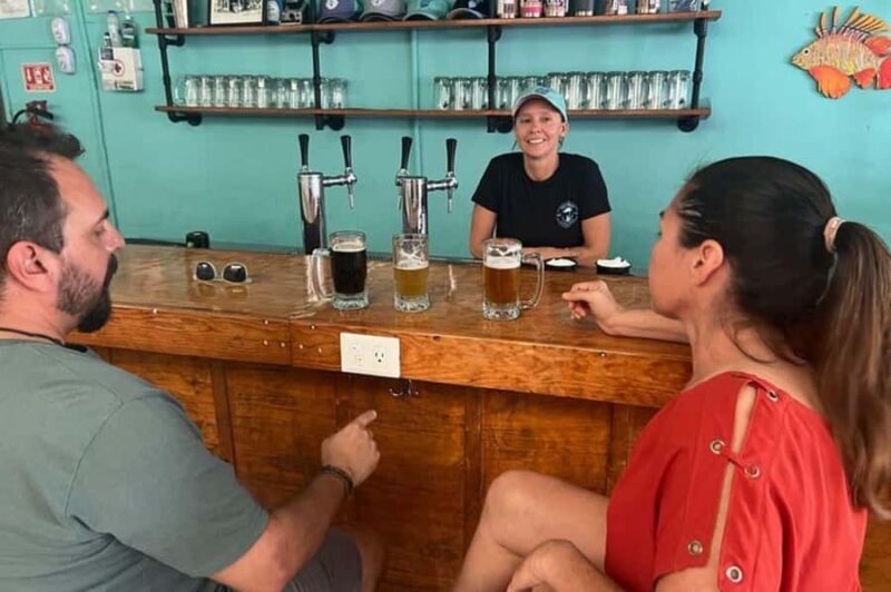 Downtown Cozumel and Brewery Experience - Key Points