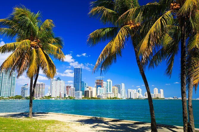 Downtown Miami Tour with Millionaires Row Cruise Tickets - A detailed look at what to expect from this Miami adventure
